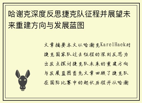 哈谢克深度反思捷克队征程并展望未来重建方向与发展蓝图