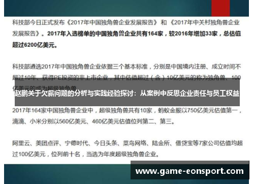 赵鹏关于欠薪问题的分析与实践经验探讨：从案例中反思企业责任与员工权益
